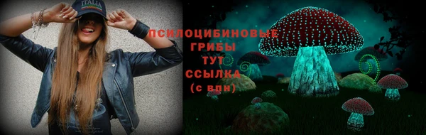 не бодяженный Абаза