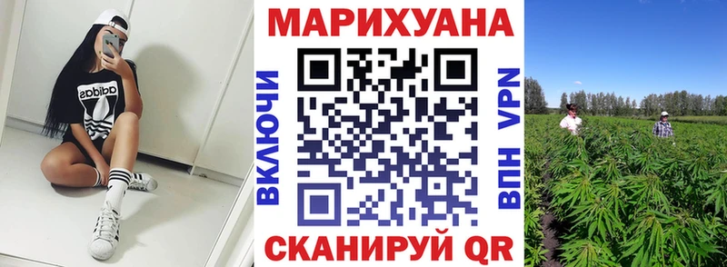 Шишки марихуана ГИДРОПОН  Шали 